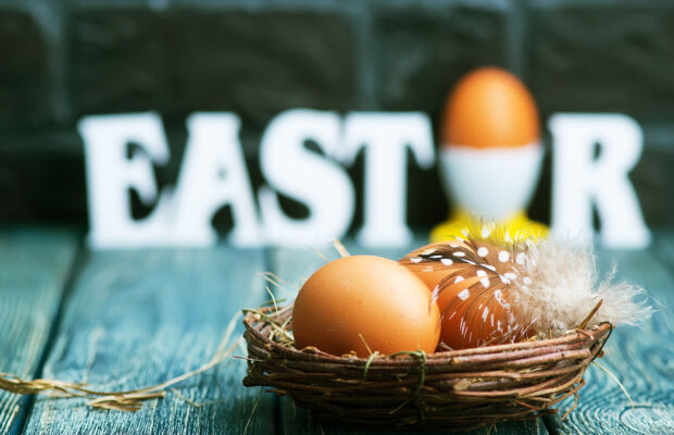 Happy Easter!