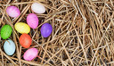 Easter Egg Hunt Easter Egg Hunt